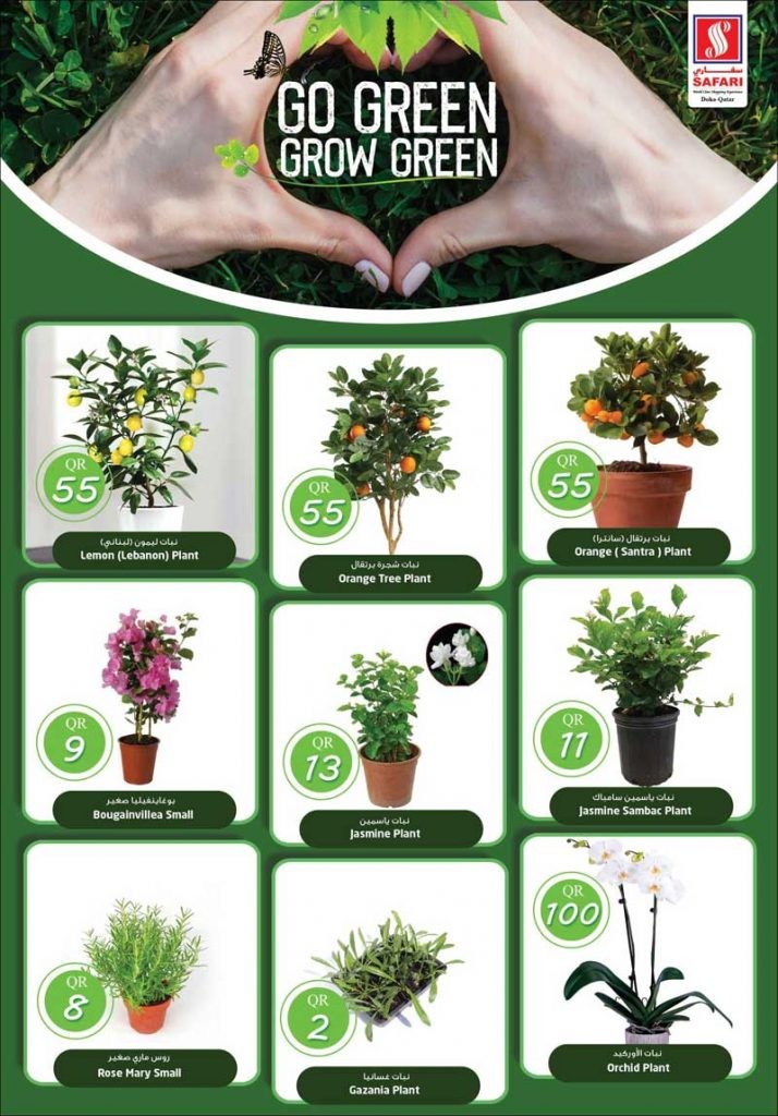 Safari Go Green Grow Green Offers