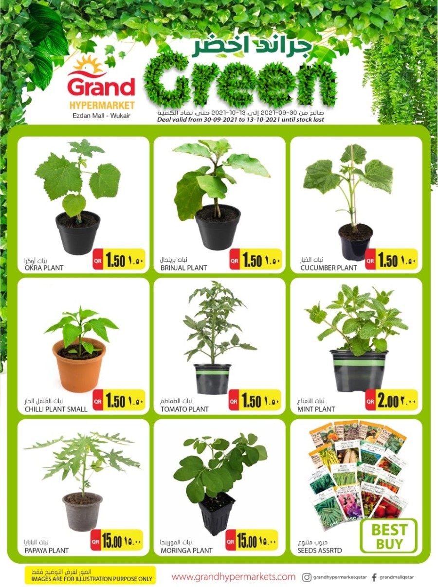 Grand Wukair Green Promotions