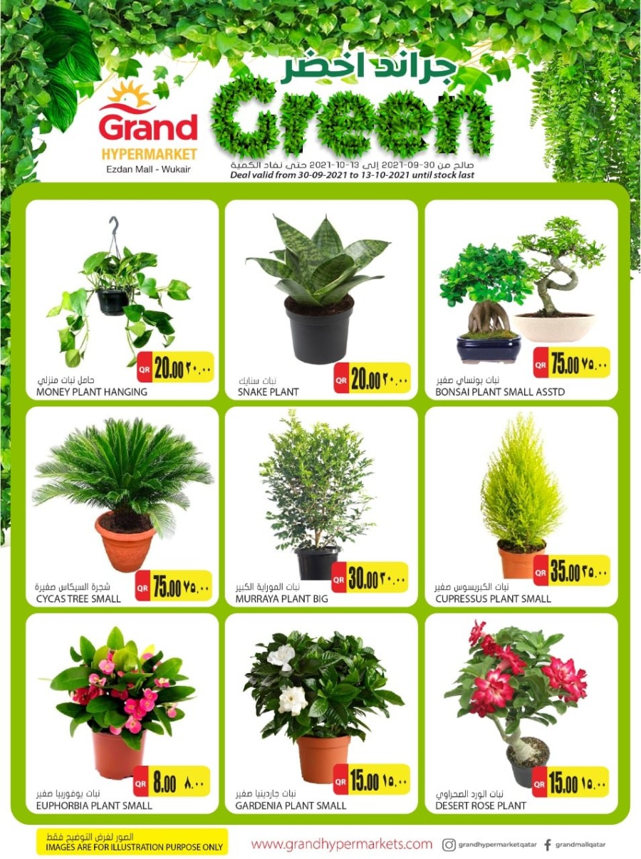 Grand Wukair Green Promotions