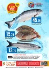 Saudia Daily Offer 17 May