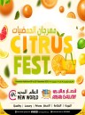 Ansar Gallery Citrus Fest