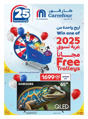 Carrefour Anniversary Promotion