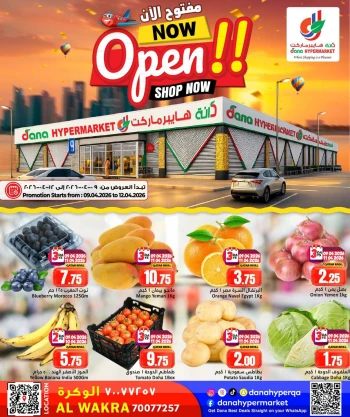Dana New Shop Great Offer